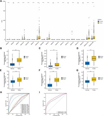 Comprehensive Analysis of Expression and Prognostic Value of MS4As in Glioma